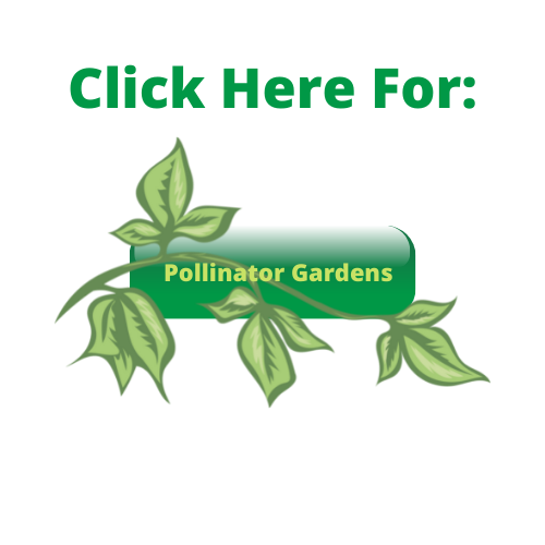 Click here for Pollinator Gardens