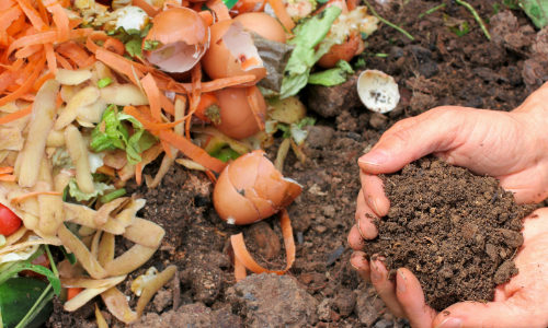 recycled scraps of food will make good compost