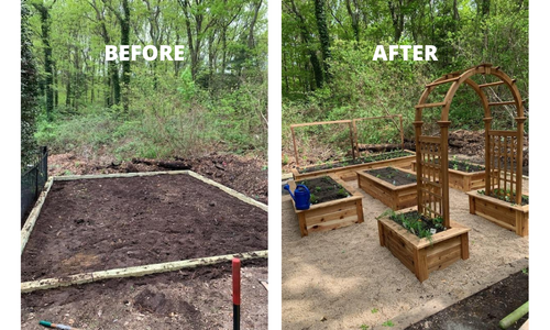 Before and after building a raised bed garden