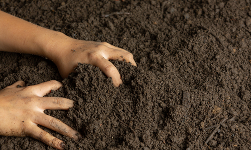 quality soil